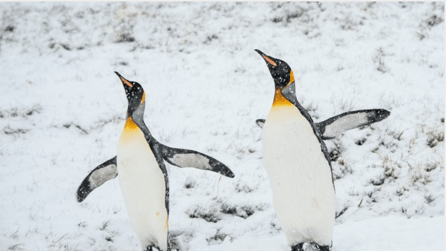 What's new in the Linux kernel