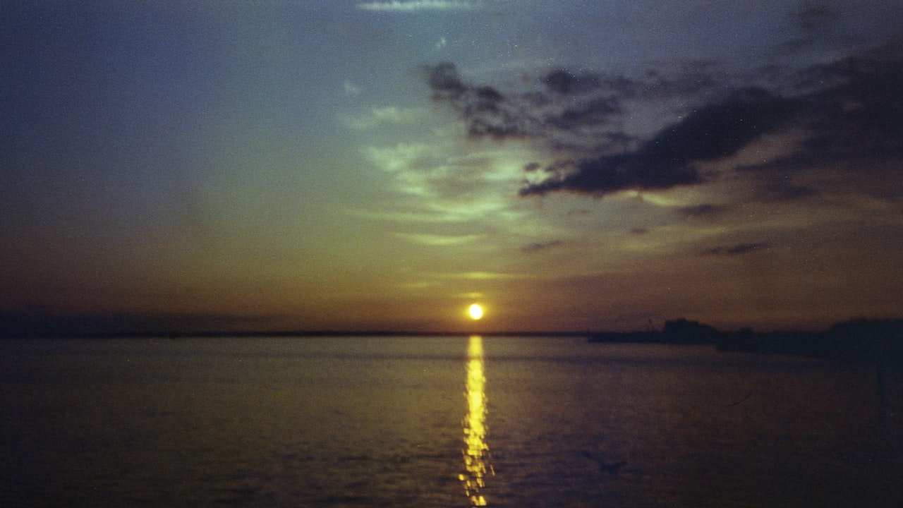 Complete Guide To Buying Disposable Vapes Online