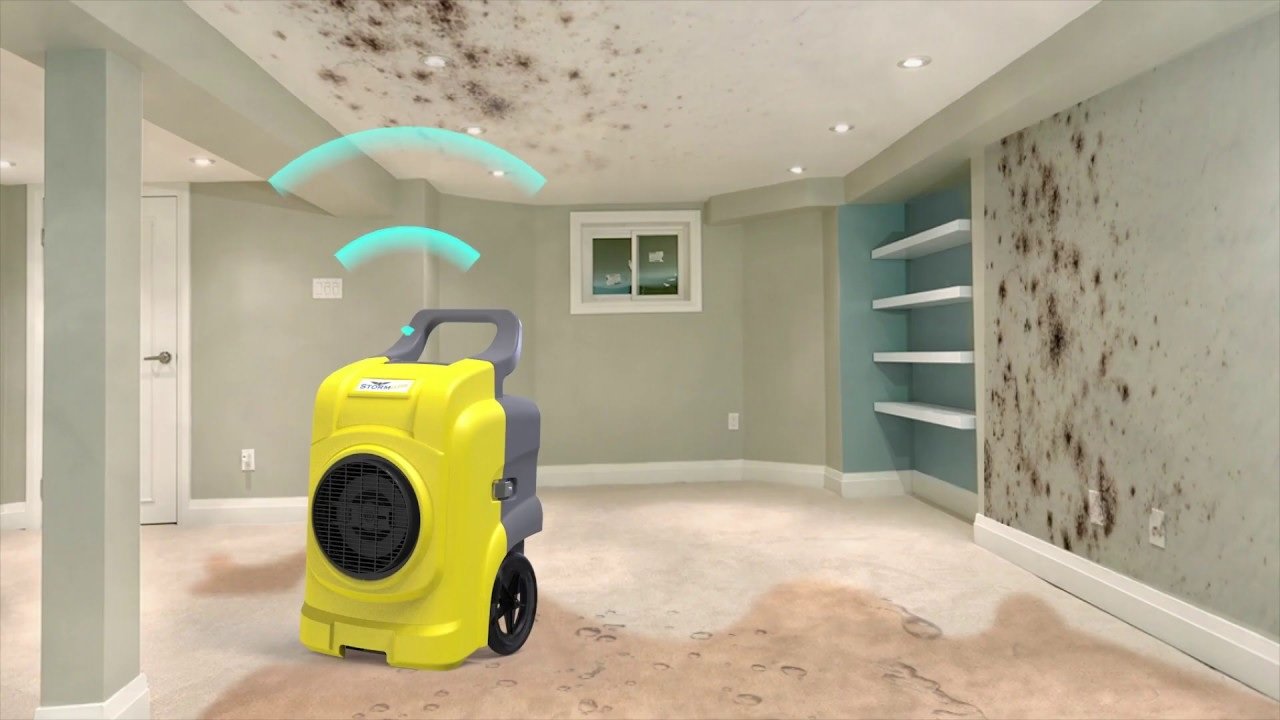 The Role of Ceiling Dehumidifiers in Preventing Mold and Mildew in Commercial Buildings