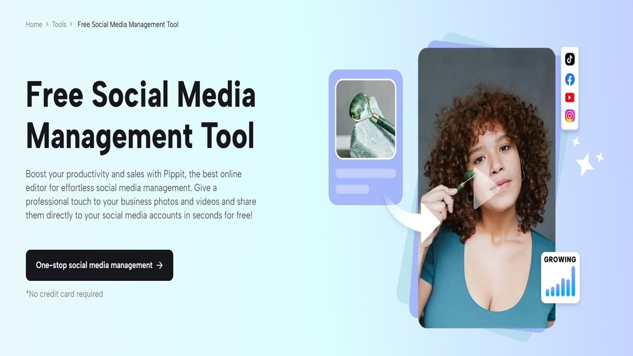 How Pippit AI Helps You Plan, Post &amp; Analyze Every Social Media Post