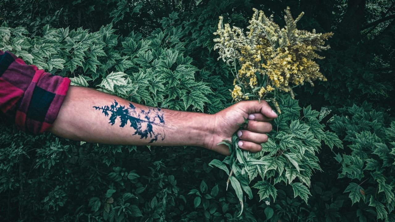 How to Start a Temporary Tattoo Company: What You Must Know